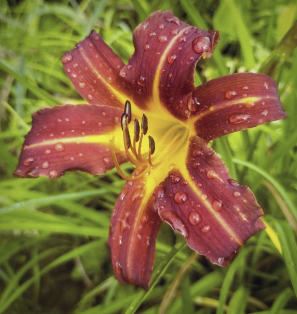 Photograph by Sergey Kurkov-Tarkovsky