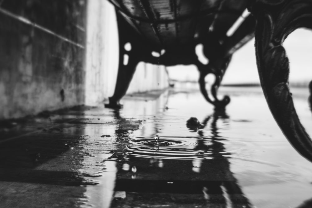 Фотография автора Мария Шишкина