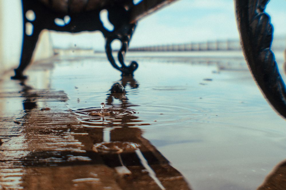 Фотография автора Мария Шишкина