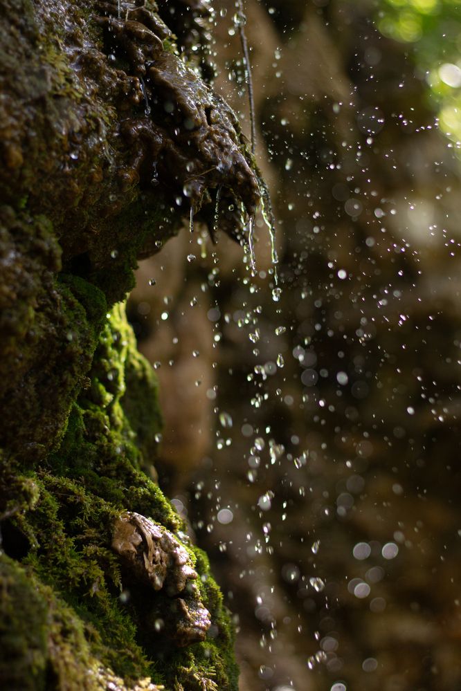 Photograph by Дарья Улюсова