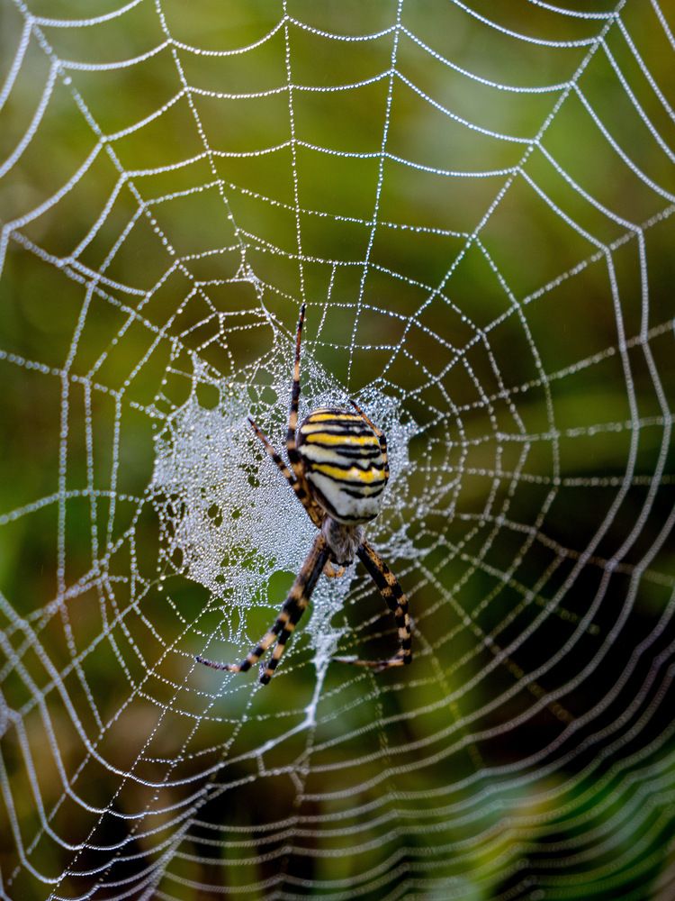 Photograph by Olga Schmidt