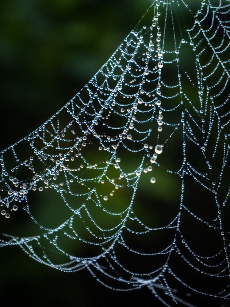 Photograph by Olga Schmidt