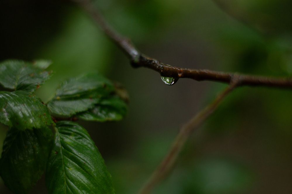 Photograph by Дарья Улюсова