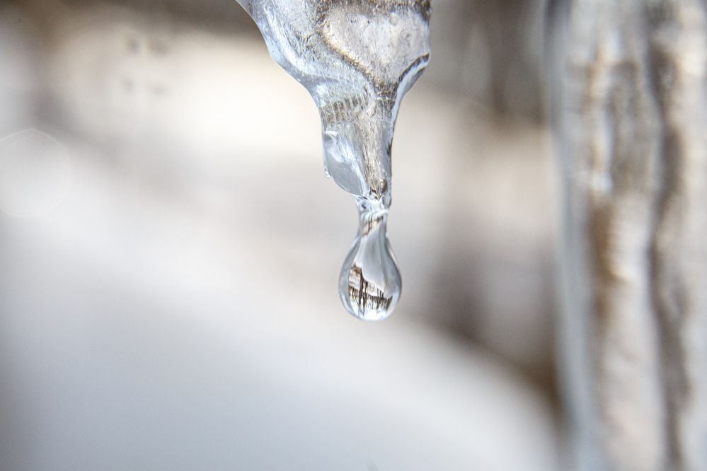 Photograph by Дарья Улюсова