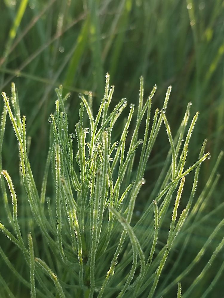 Photograph by Татьяна Калугина