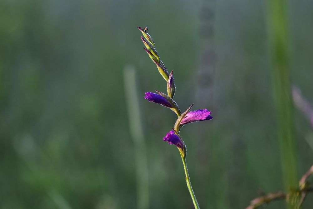 Photograph by Татьяна Калугина