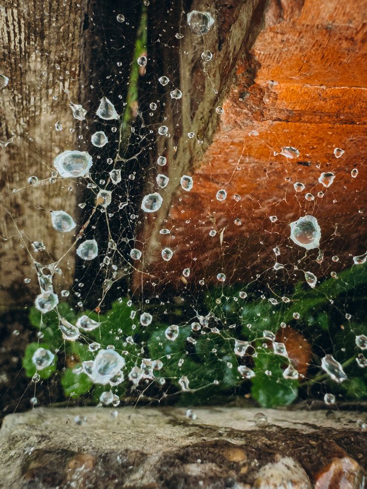 Фотография автора Марина Рябуха