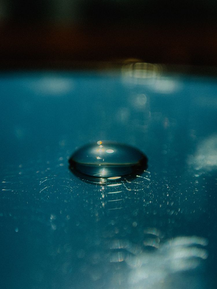 Photograph by Алёна Горошко