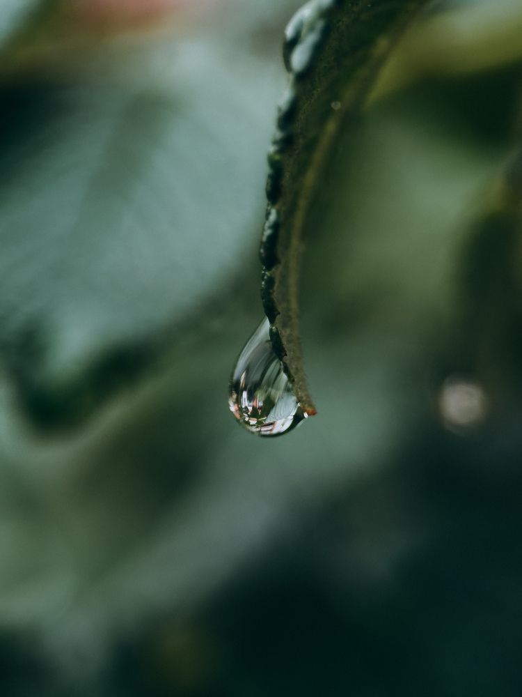 Photograph by ALISA NEZHINSKAYA