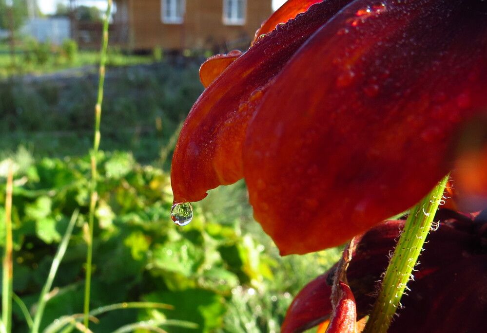 Photograph by Елена Казарина