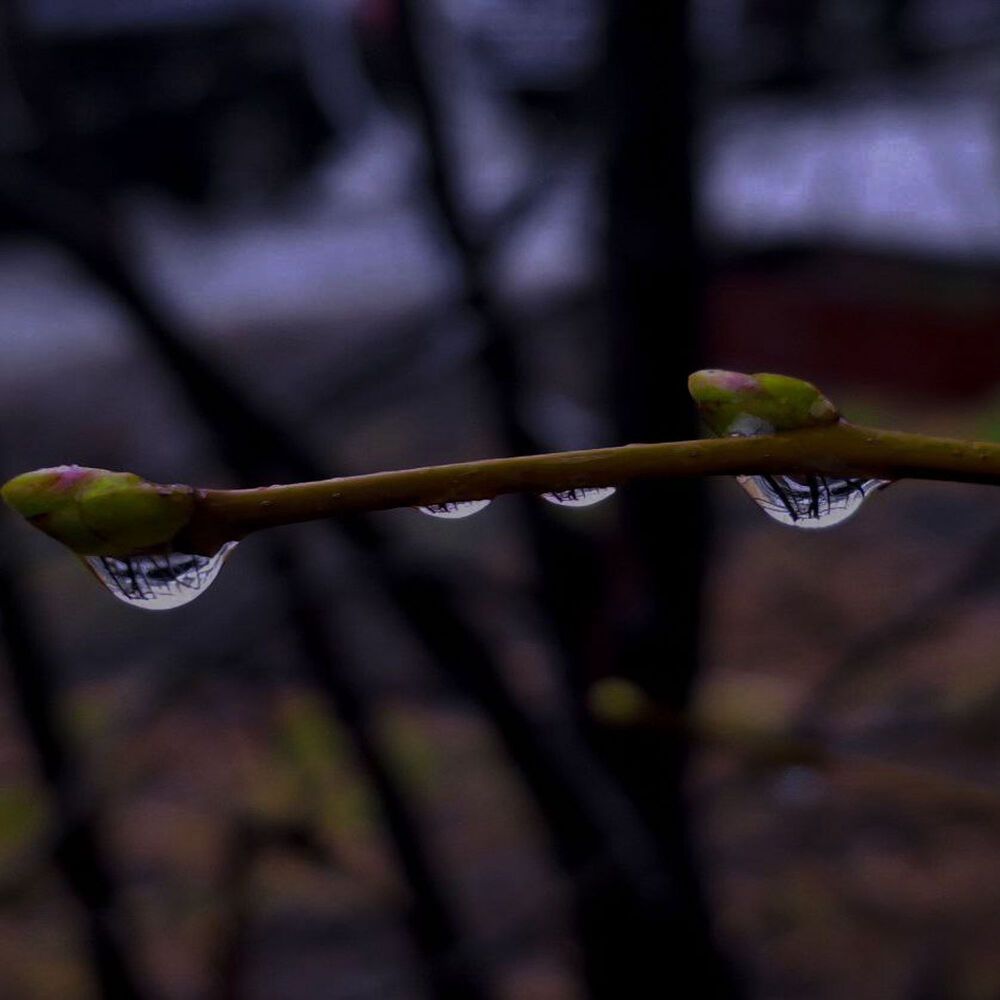 Photograph by Елена Ерасова