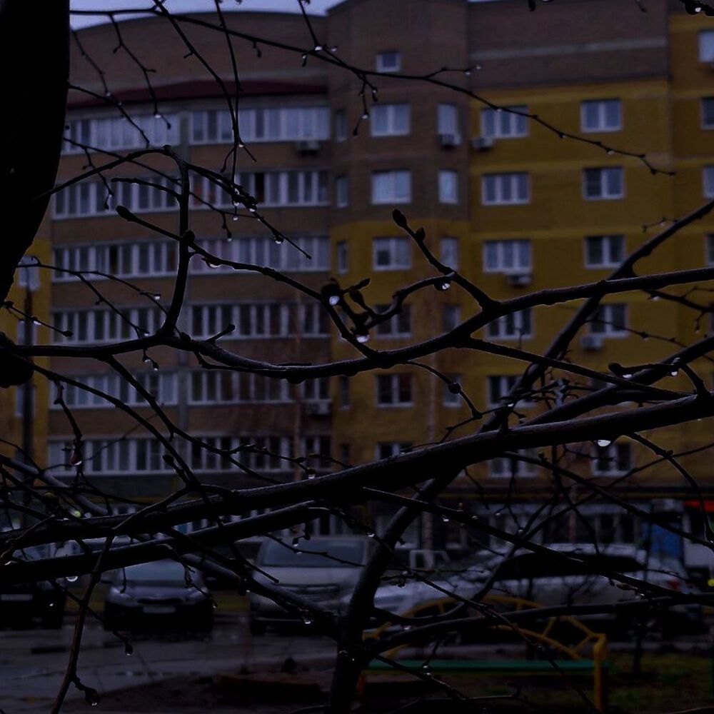 Photograph by Елена Ерасова