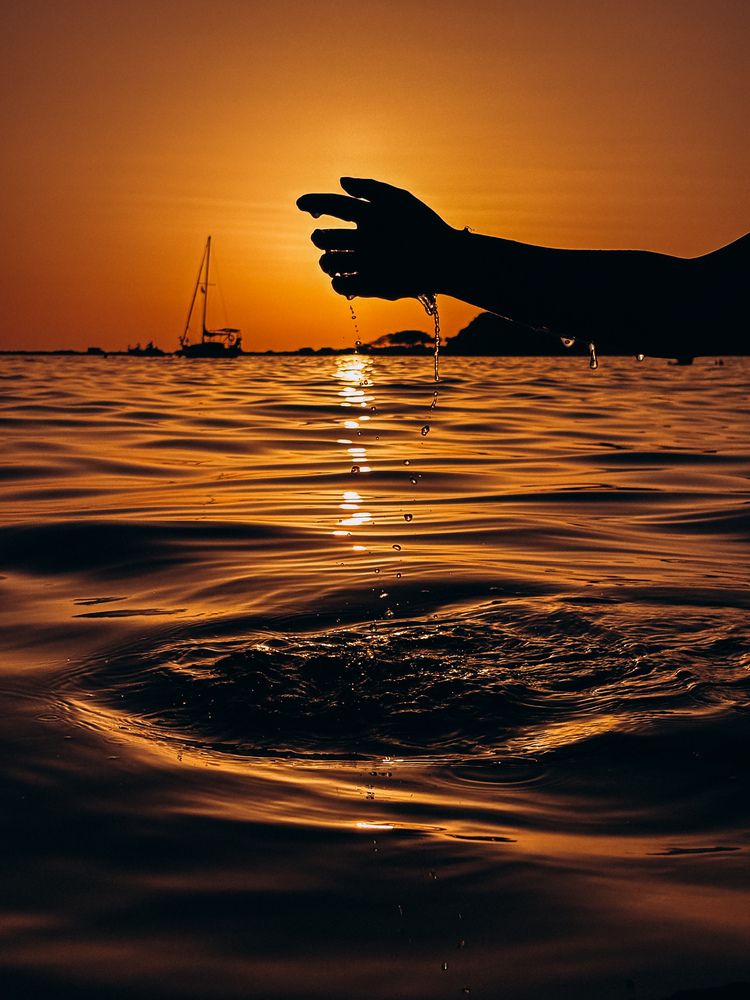 Photograph by Елена Михалева