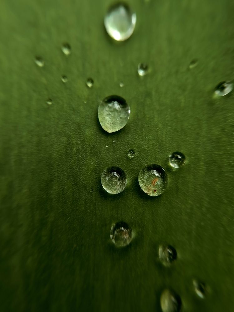 Photograph by Ирина Землячева