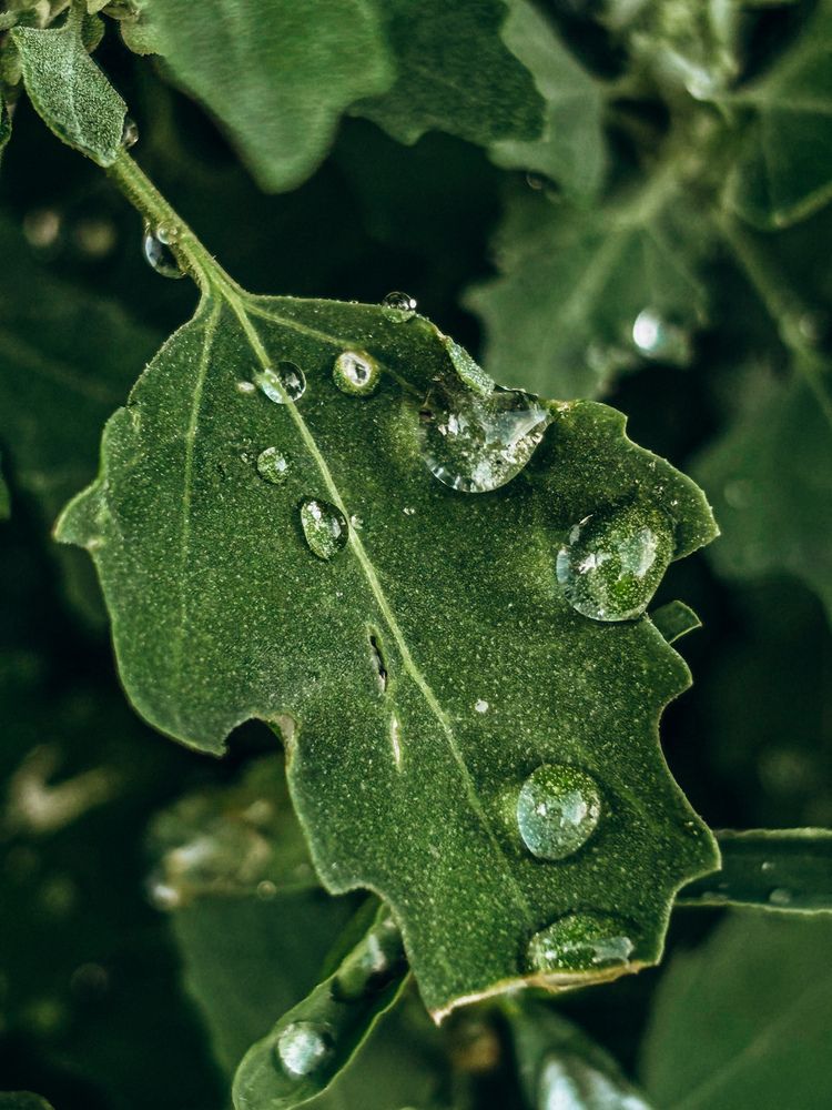 Фотография автора Марина Рябуха