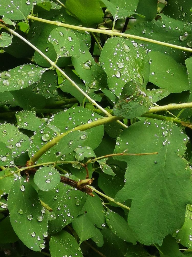 Photograph by Alexey Reznichenko