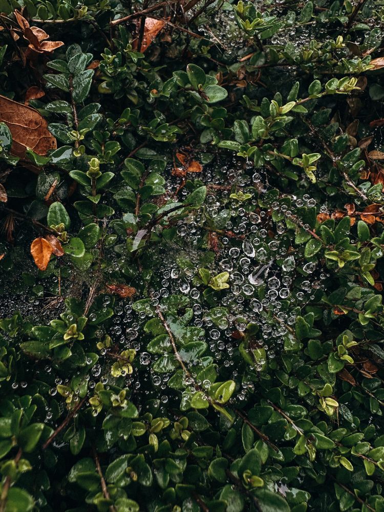 Фотография автора Tatyana