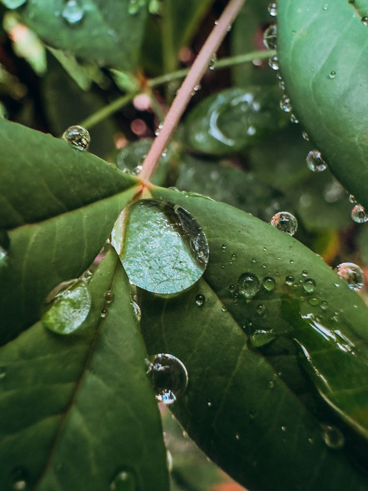 Фотография автора Tatyana