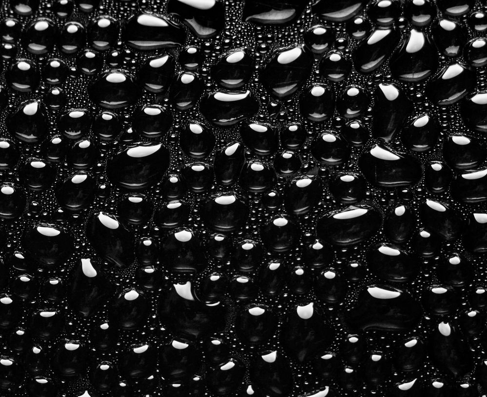 Photograph by Kirill Frolov