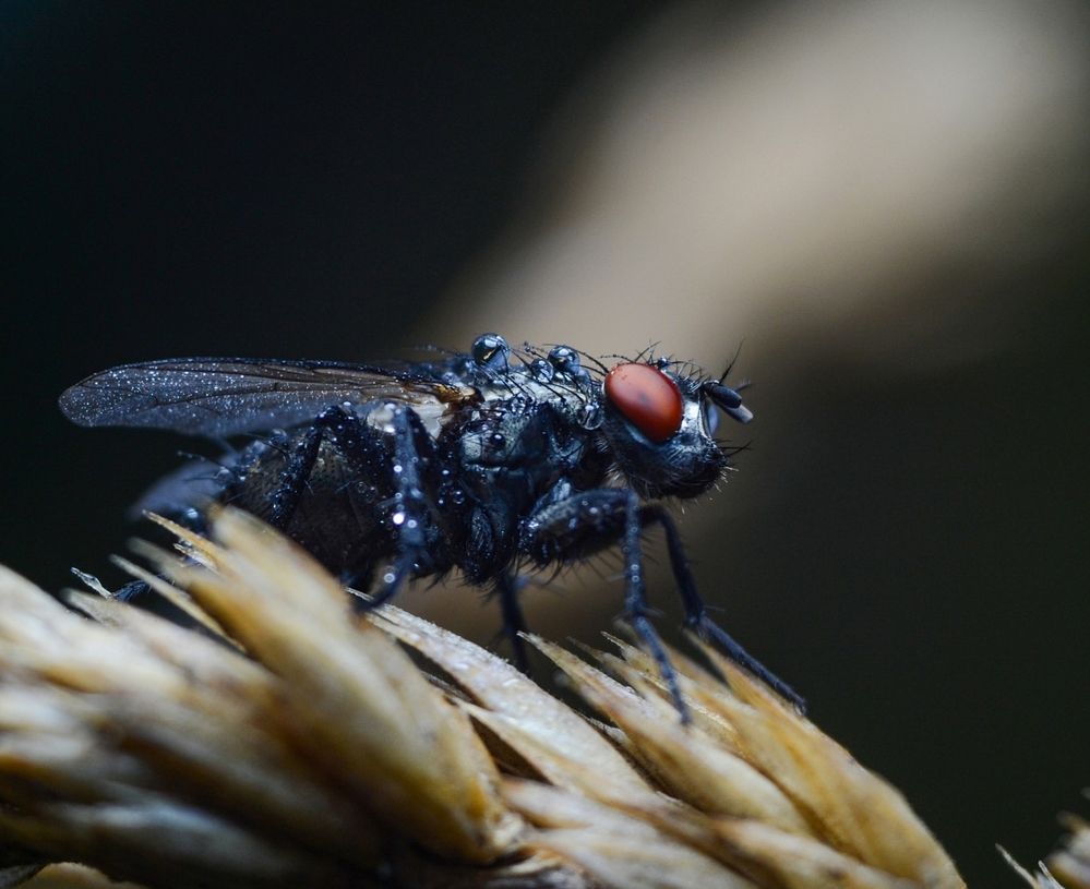 Photograph by Kirill Frolov