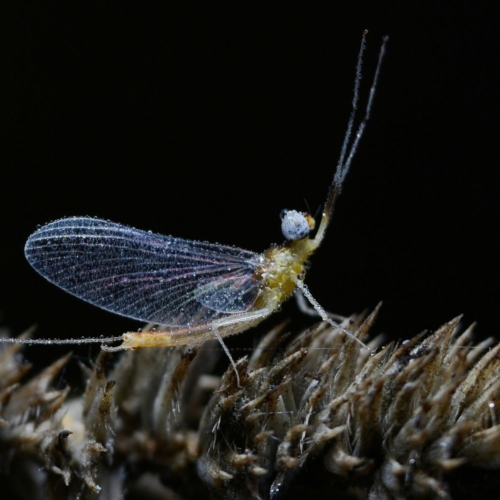 Photograph by Kirill Frolov