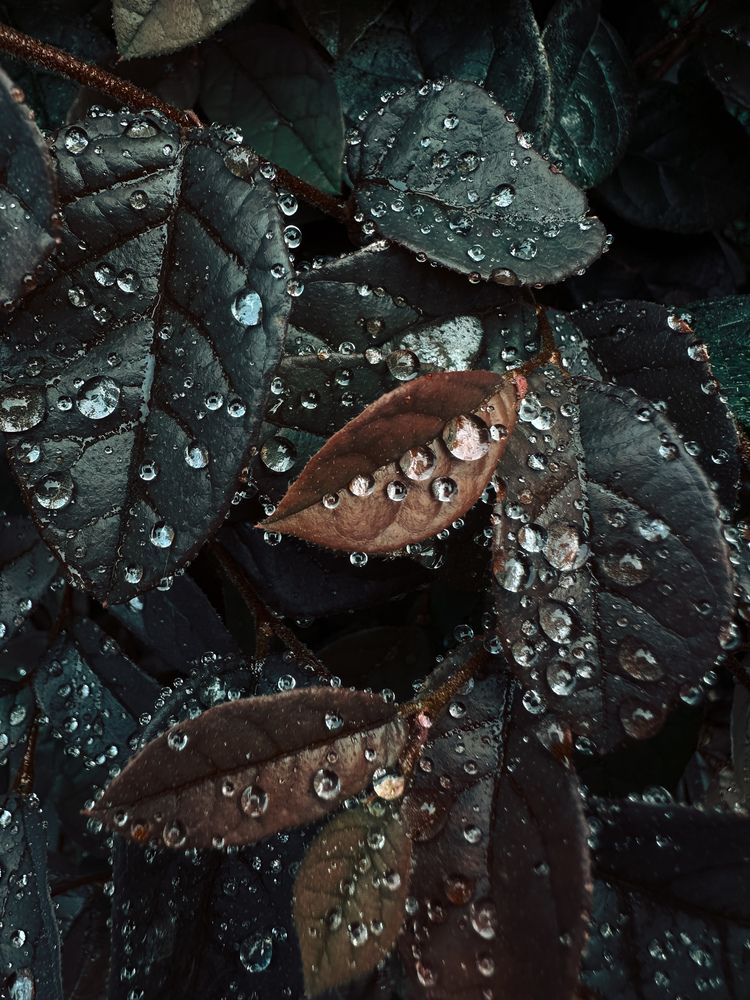 Фотография автора Tatyana