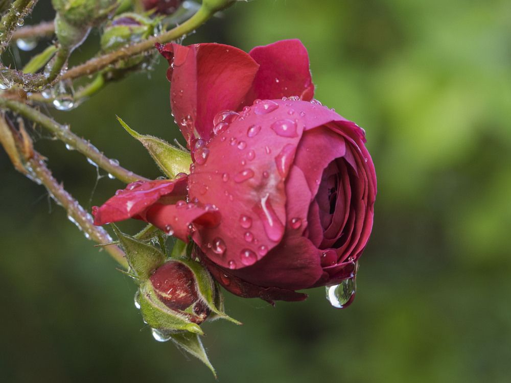 Photograph by Борис Полтавец