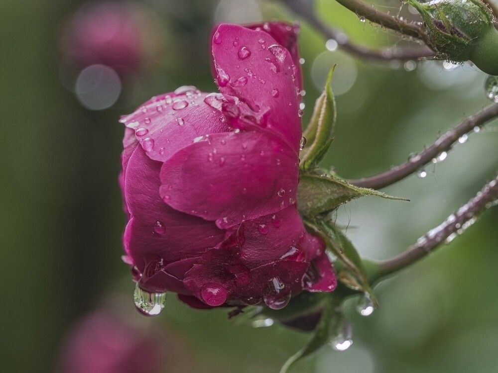 Photograph by Борис Полтавец