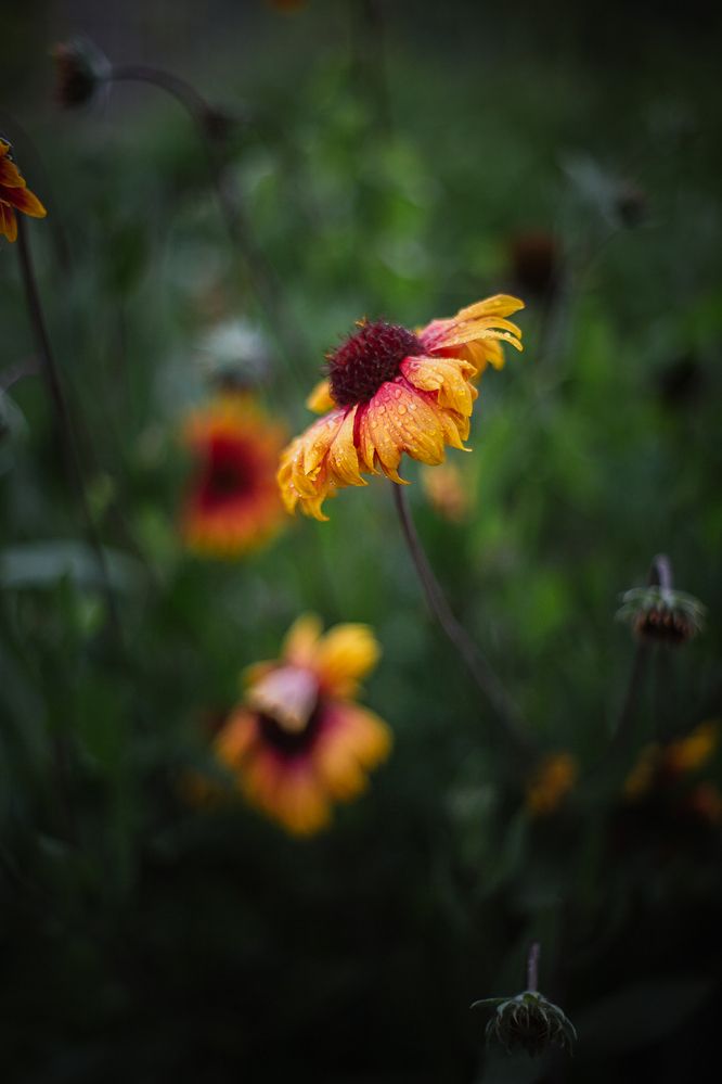 Photograph by Филипп Бабенко