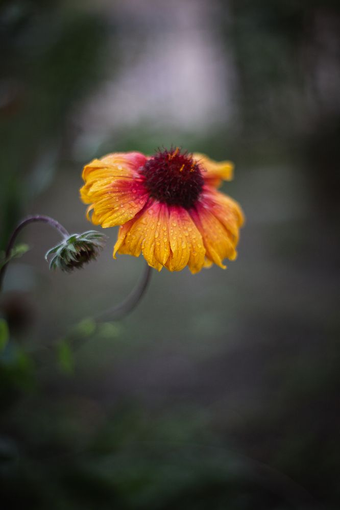 Photograph by Филипп Бабенко