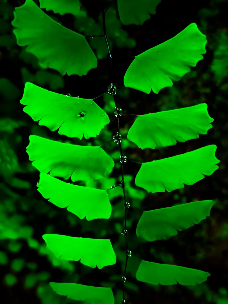 Photograph by SHRIYAKSHI