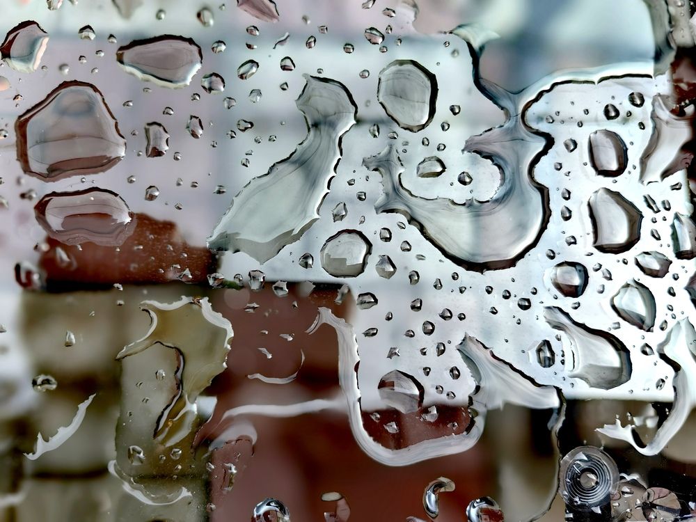 Photograph by OLGA MIKHNEVICH