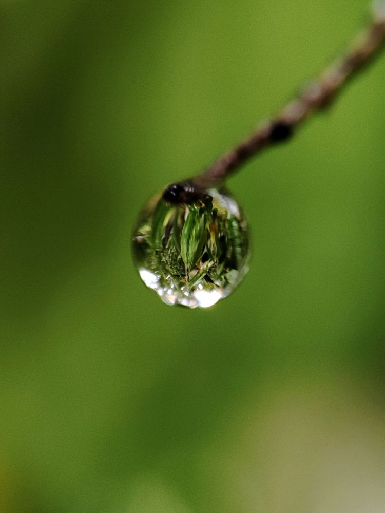 Photograph by Ирина Строкова