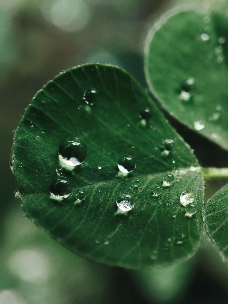 Photograph by Ирина Строкова