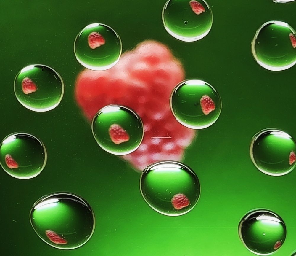 Photograph by Елена