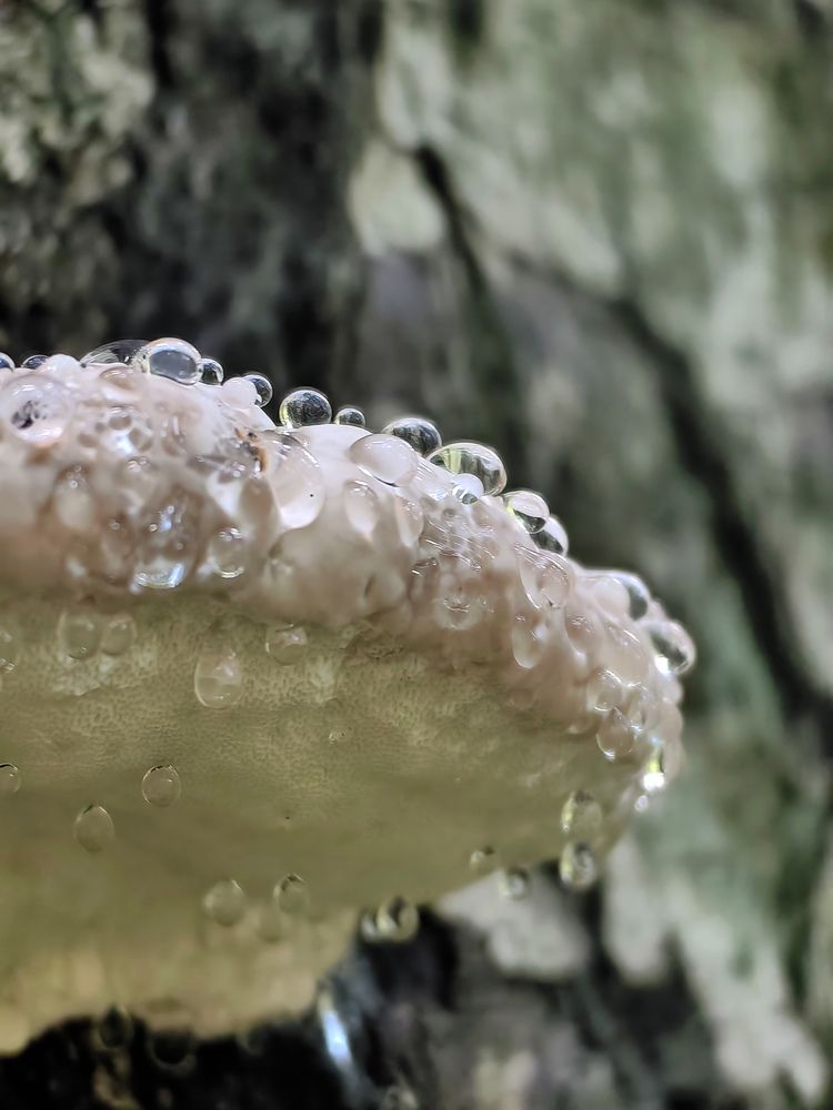 Photograph by OLGA MIKHNEVICH