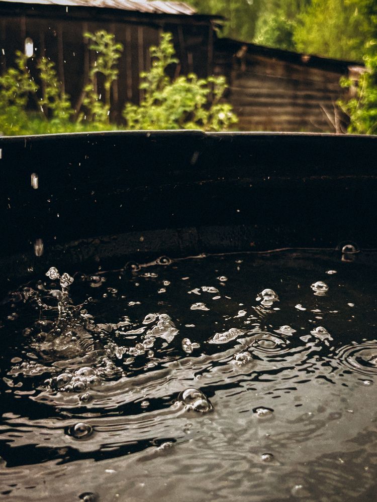 Photograph by Марина Харитонова