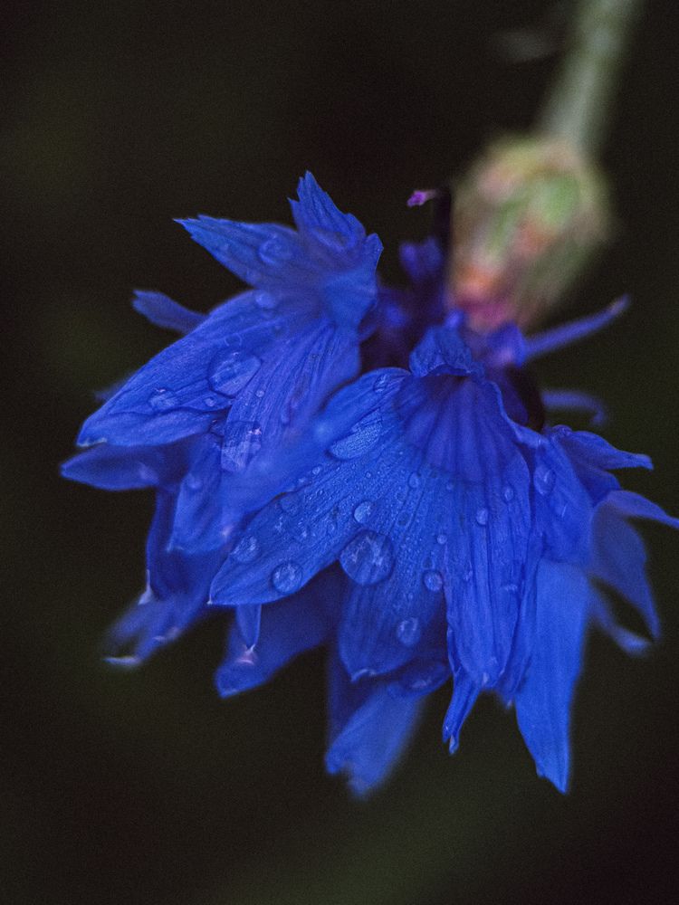 Photograph by Марина Харитонова