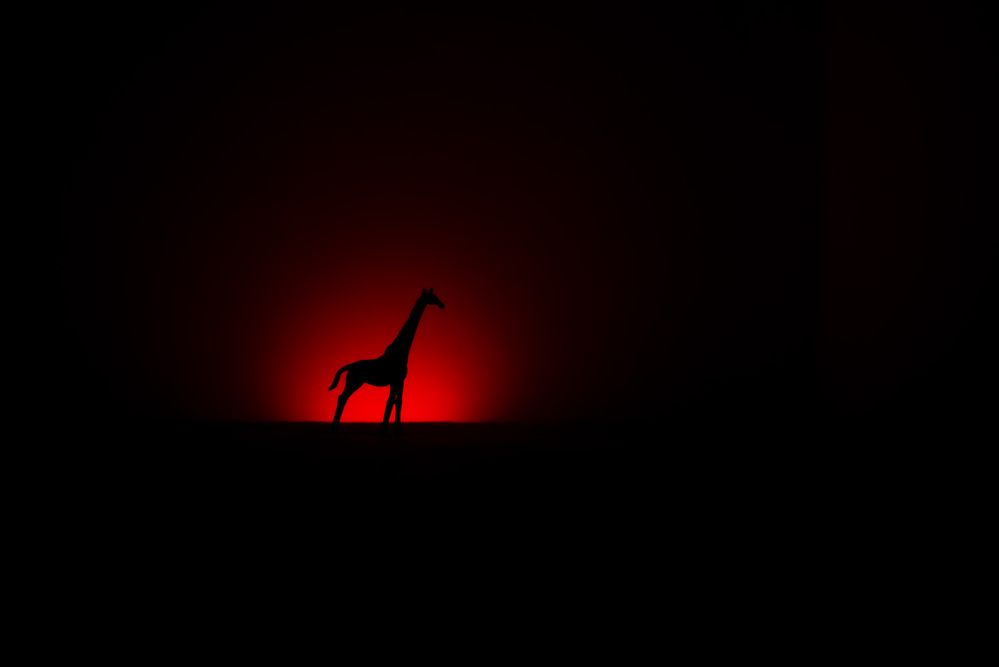 Photograph by Оксана Волкова
