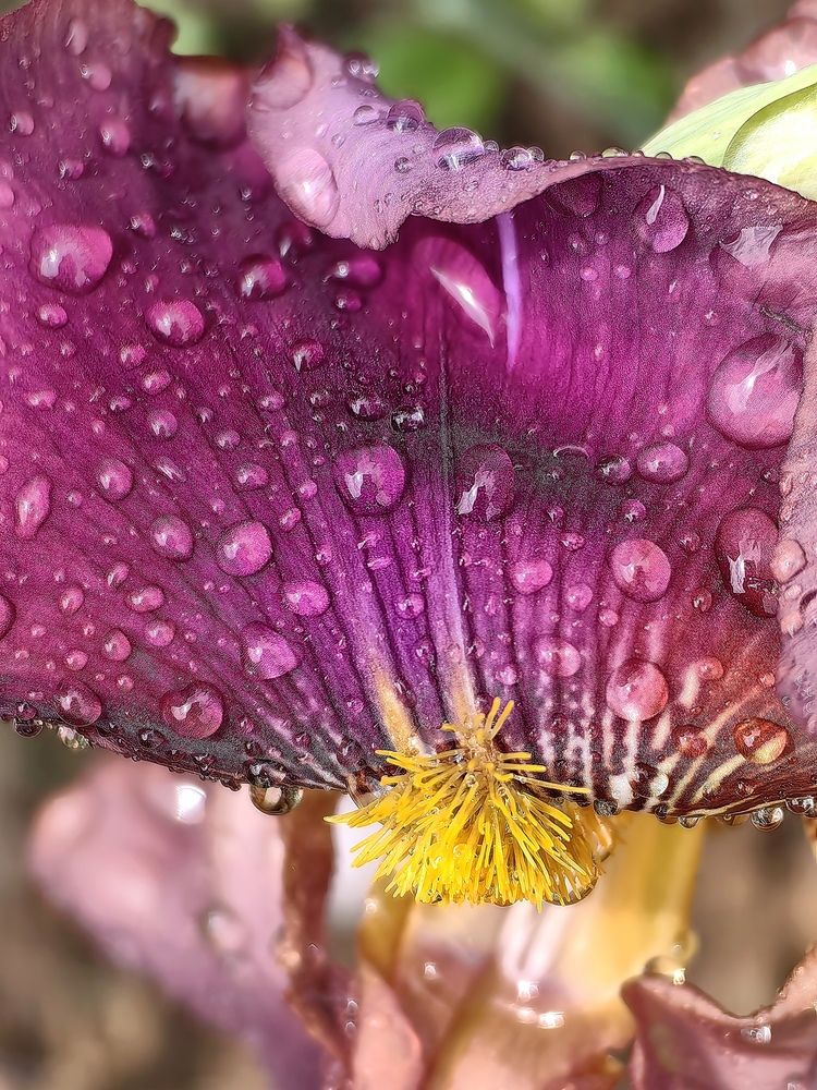 Photograph by OLGA MIKHNEVICH