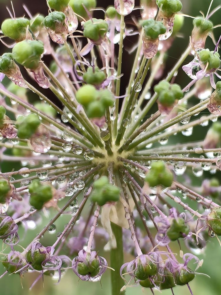 Photograph by OLGA MIKHNEVICH