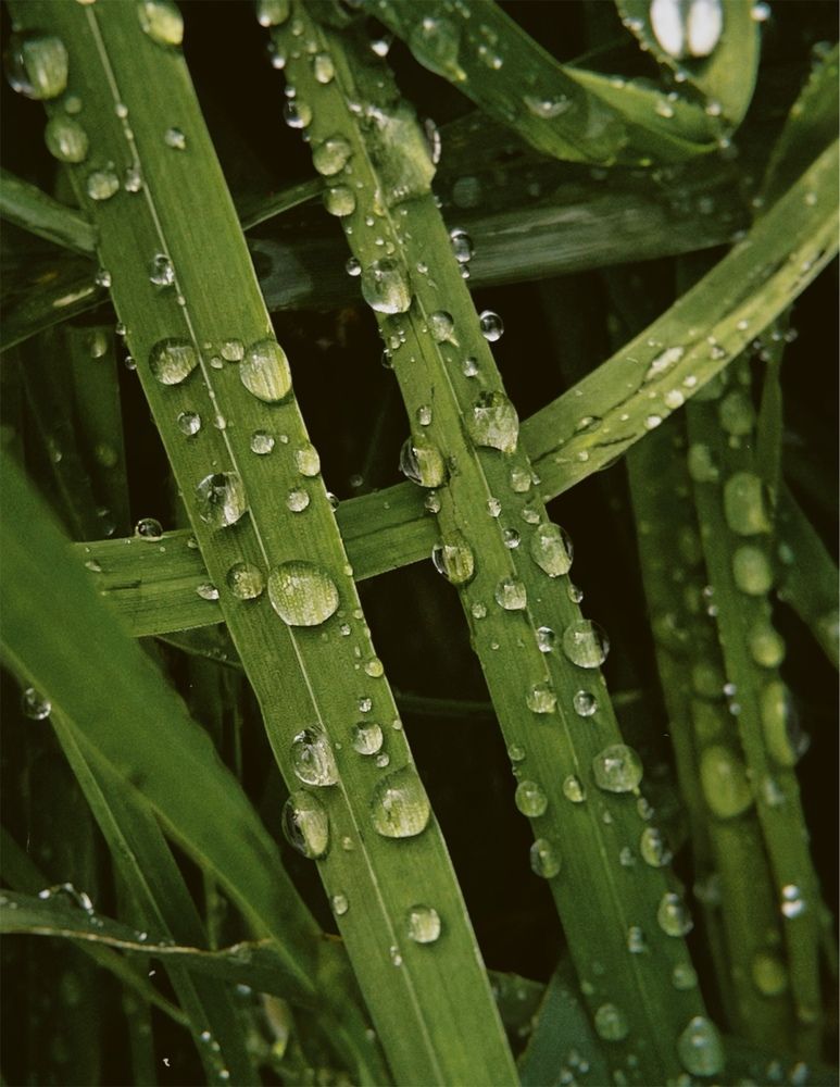 Photograph by Nadya Sterligova