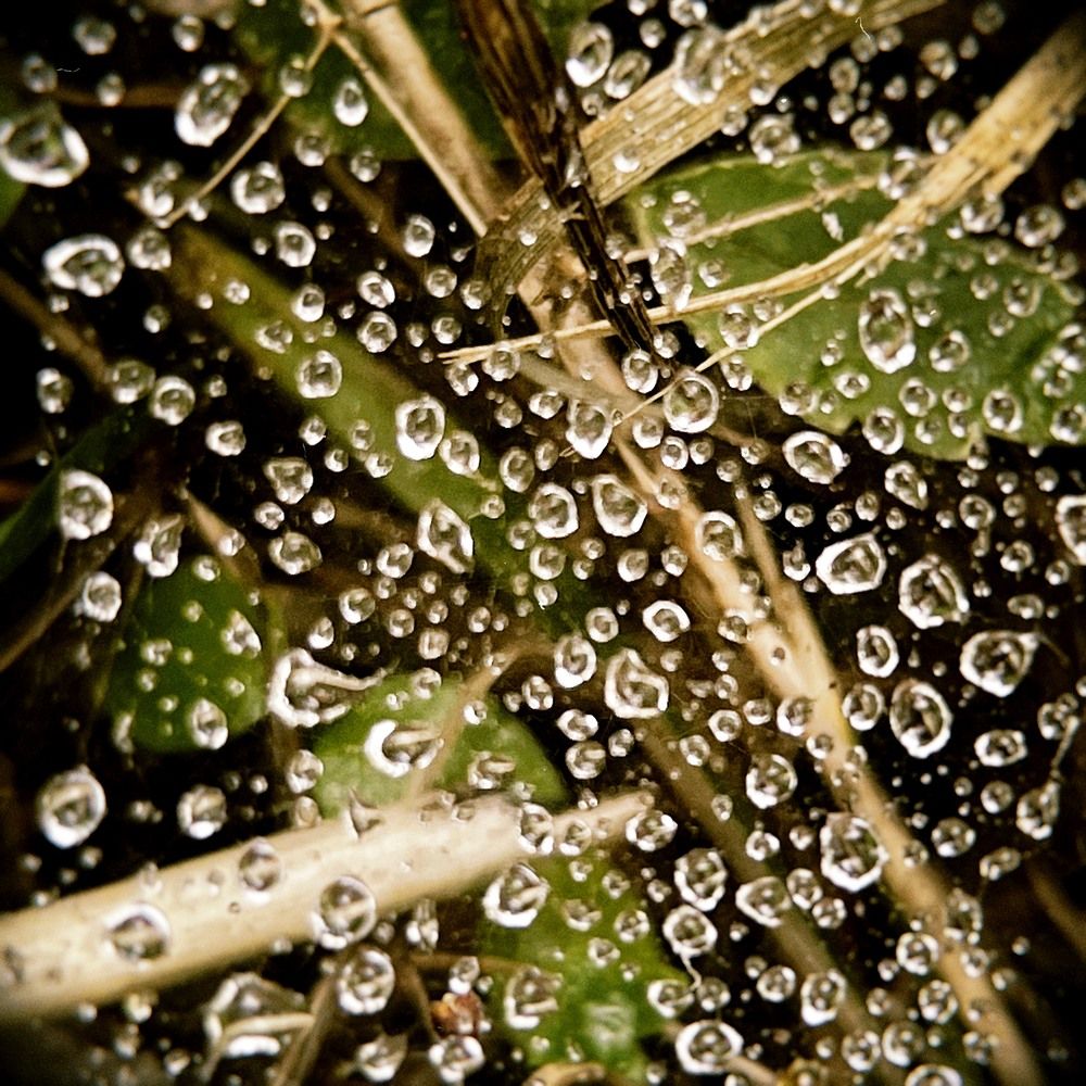 Photograph by Nadya Sterligova