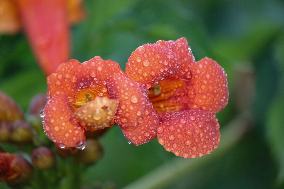 Photograph by Ирина Дмитриенко