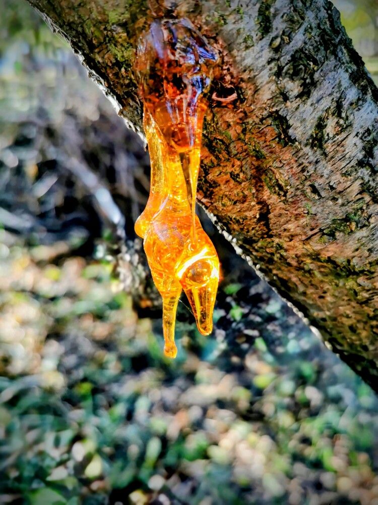 Фотография автора Ian Heard