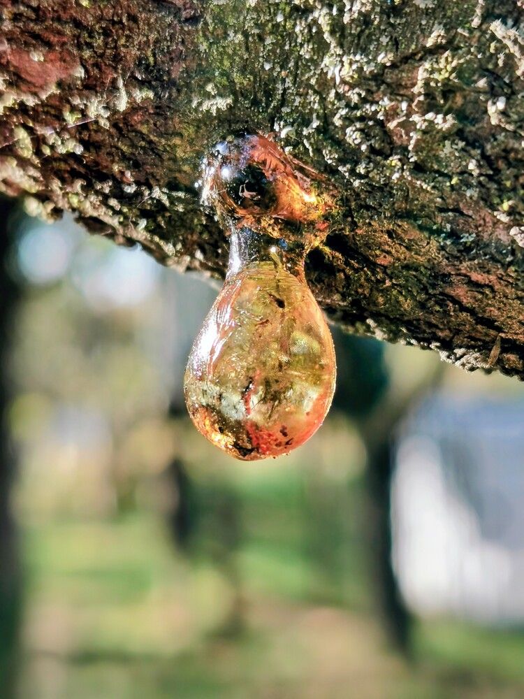 Фотография автора Ian Heard