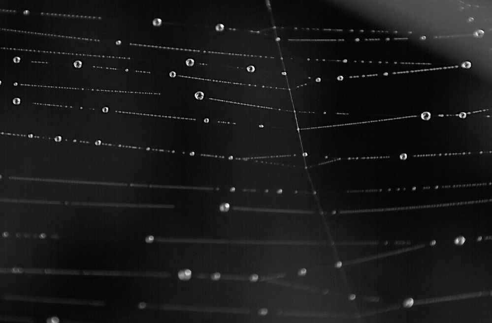 Photograph by Елена Ласун