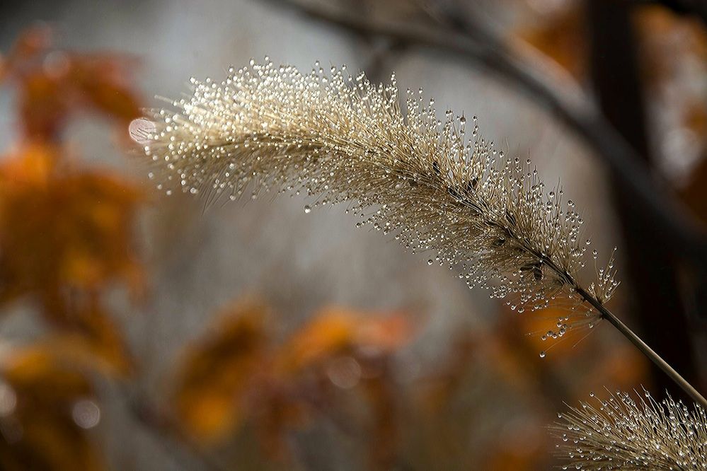 Photograph by Елена Ласун