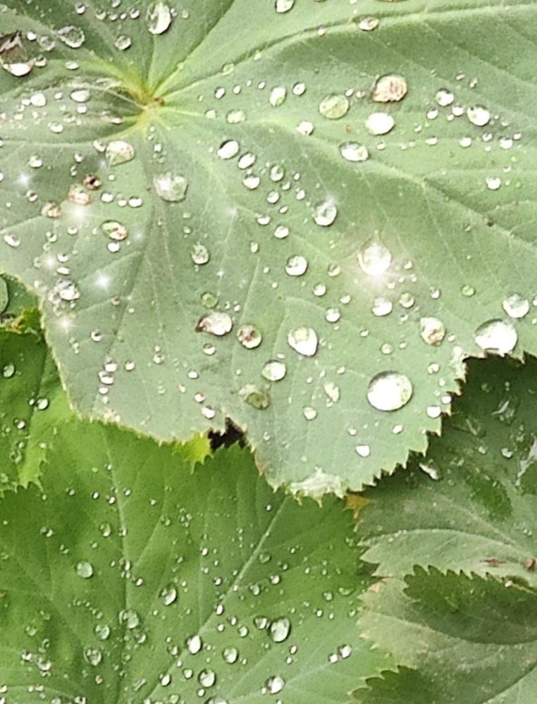 Photograph by Анна Андреевна