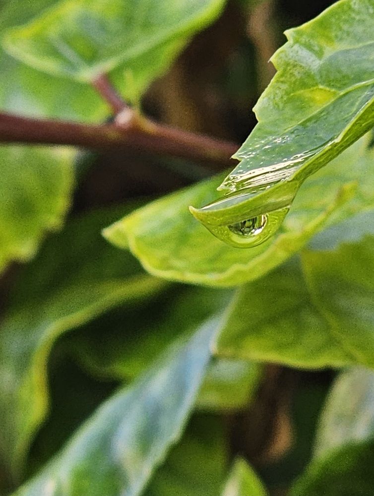 Фотография автора Oksana Podgorodetska